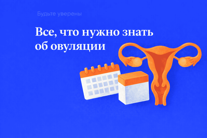 Купить тест на овуляцию: как выбрать и где заказать