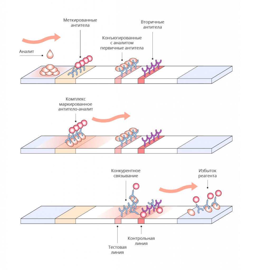Принципиальная схема конкурентного ICA.