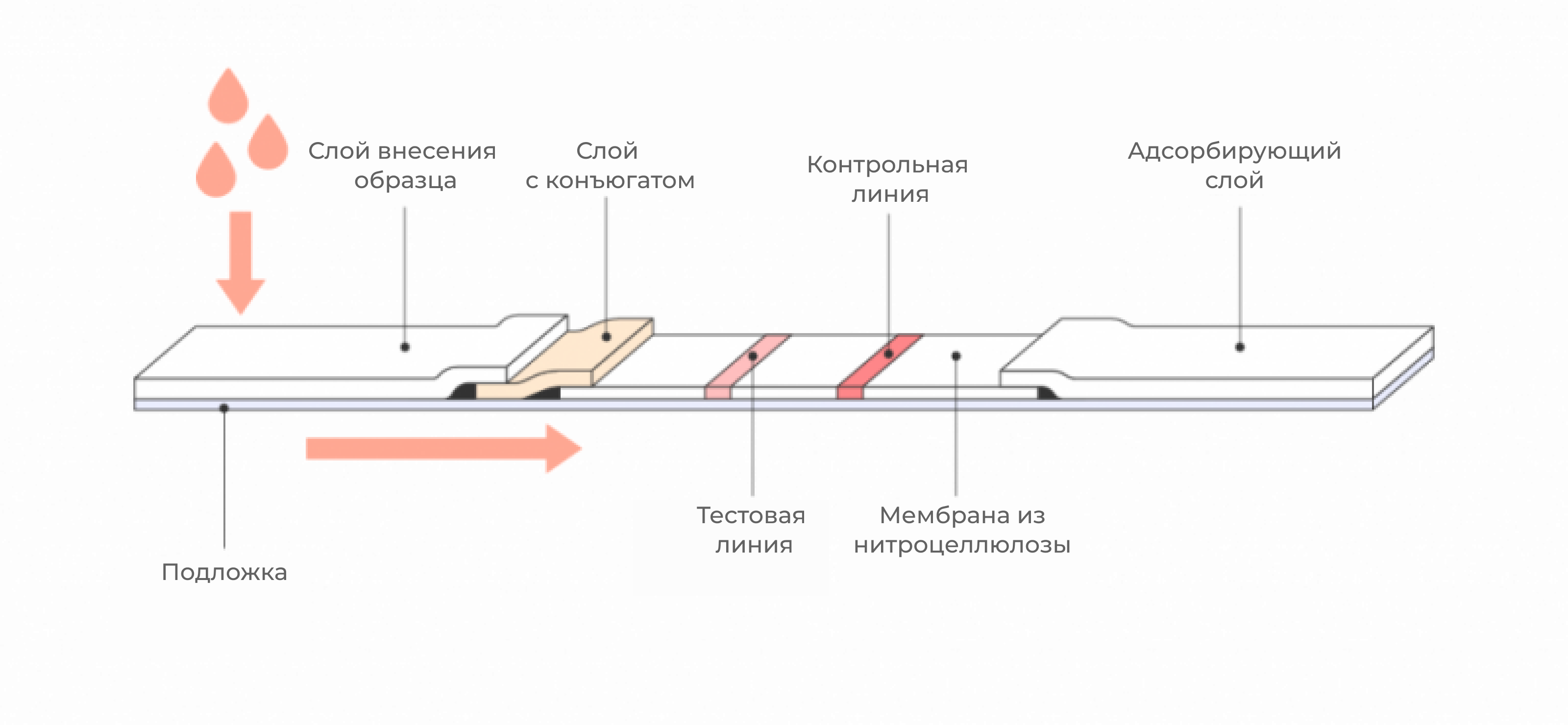 Типичная схема тест-полоски с боковым потоком. Типичная схема тест-полоски с боковым потоком.